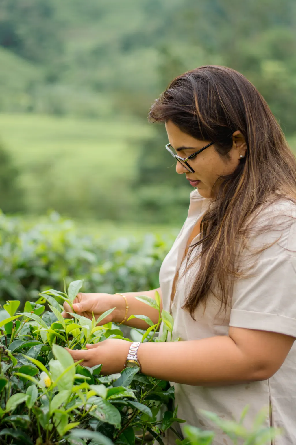 CeyLur Tea Plantation