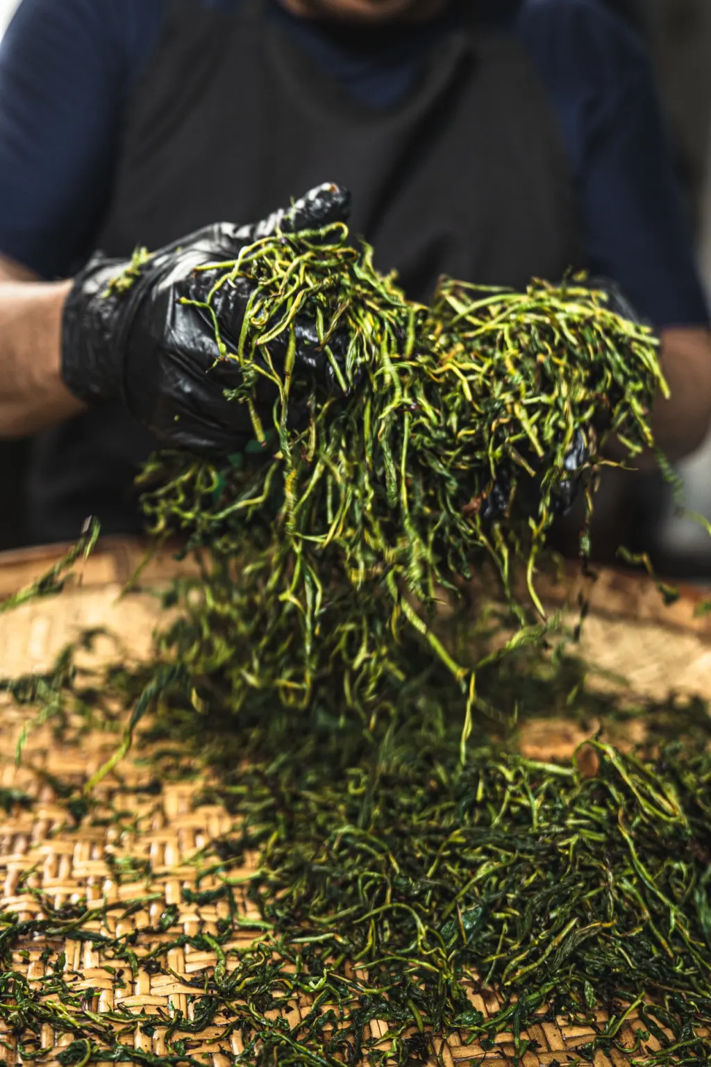 Artisan Hand Rolling Ceylon Tea